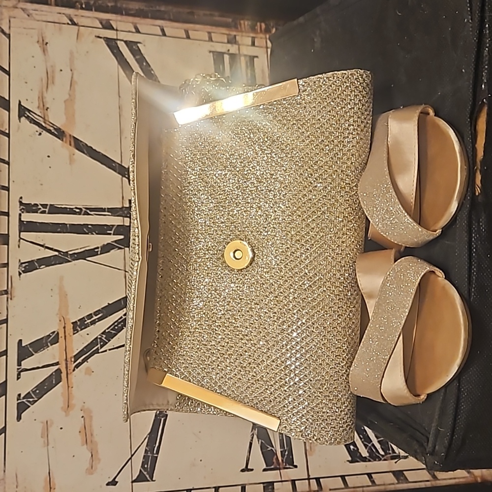 $79.00 Nina NY sparkly Gold heels 8.5 Dressy Shoes and a 79.00 GIANI BERNINI bag